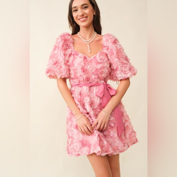 Petal & pup rosette floral garden party dress nwot - Picture 5 of 6